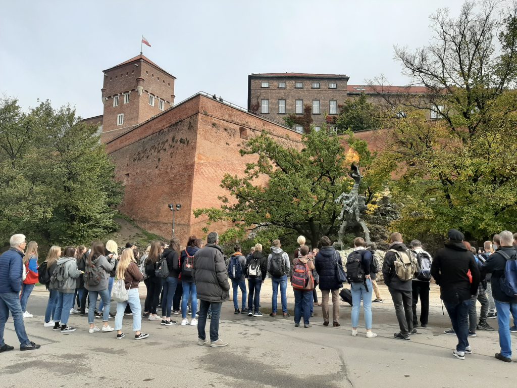 Krakau - Burg Wawel